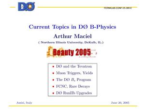 Current topics in D0 B physics