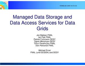 Managed data storage and data access services for data grids