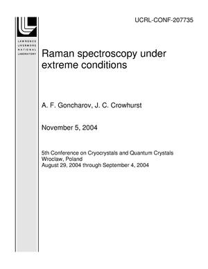 Raman spectroscopy under extreme conditions