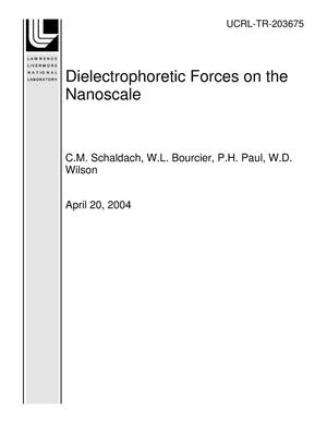 Dielectrophoretic Forces on the Nanoscale