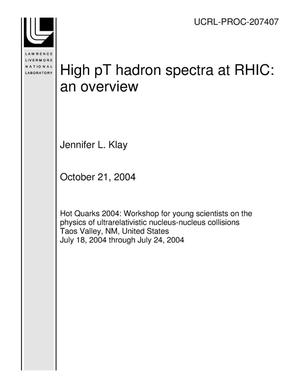 High pT hadron spectra at RHIC: an overview