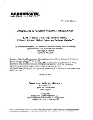Morphology of Methane Hydrate Host Sediments.