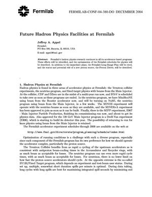 Future hadron physics facilities at Fermilab