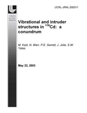 Vibrational and intruder structures in 116Cd: a conundrum