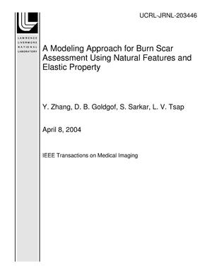 A Modeling Approach for Burn Scar Assessment Using Natural Features and Elastic Property