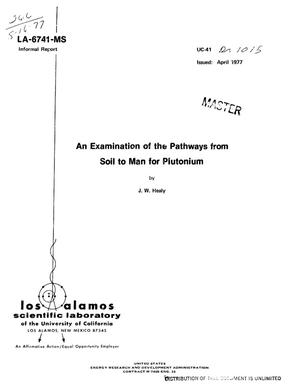 Examination of the pathways from soil to man for plutonium