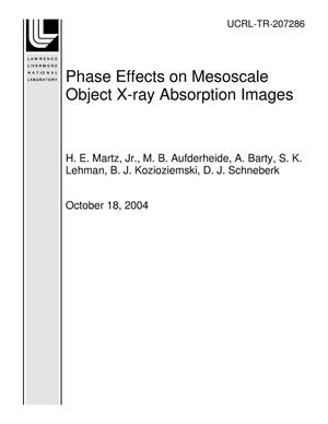 Phase Effects on Mesoscale Object X-ray Absorption Images