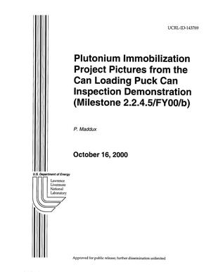 Plutonium Immobilization Project Pictures from the Can Loading Puck Can Inspection Demonstration