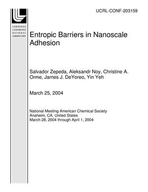 Entropic Barriers in Nanoscale Adhesion