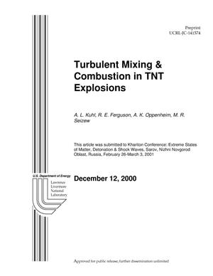 Turbulent mixing& combustion in TNT explosions