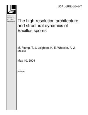 The high-resolution architecture and structural dynamics of Bacillus spores