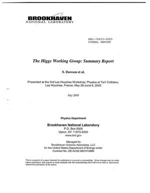 The Higgs Working Group: Summary Report.