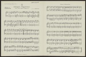 Primary view of object titled 'Allegro Vigoroso: Organ or Harmonium Part'.