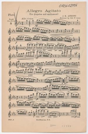 Allegro Agitato: Flute Part