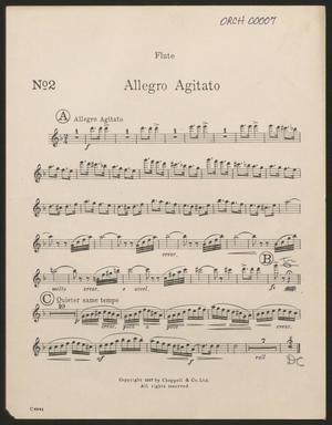 Primary view of object titled 'Allegro Agitato: Flute Part'.