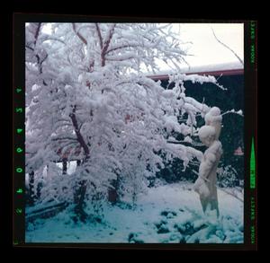 [Snow Covered Tree and Statue]