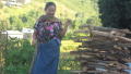 Photograph: Donnu Sankhil drying the firewood [Dinghon-tpurtuun]