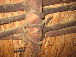 Photograph of the inner side of the thatch house and the use of climber for tying the house [Riihnu-doo-tboolna]
