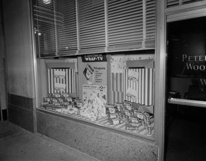 Primary view of object titled '[Niagara window advertisement]'.