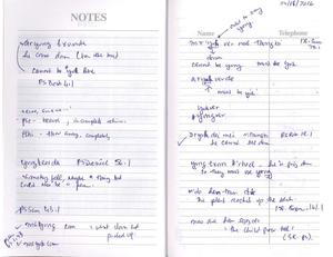 Analytical notes on Lamkang sentences
