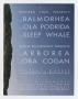 Poster: [Balmorhea, Ola Podrida, Sleep Whale poster]
