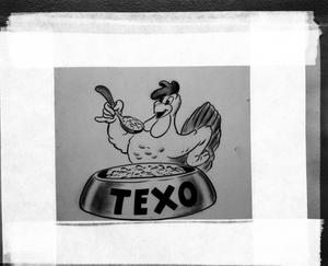 [Photograph of Texo feeds slides]