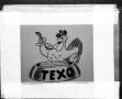 Photograph: [Photograph of Texo feeds slides]