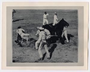 [Photograph of Prison Rodeo]