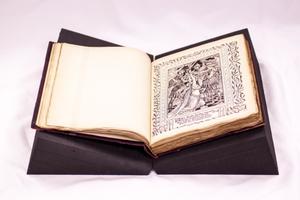 Primary view of object titled '[Walter Crane's 'Faerie Queene']'.