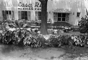 [Photograph of diners at the Casa Rio restaurant]