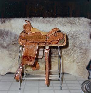 [Country Gold saddle]
