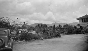 [Photograph of a Hawaiian landscape]
