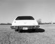Primary view of [Photograph of Oldsmobile Vista Cruiser, 8]