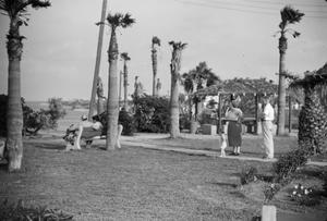 [Photograph of individuals gathered in a park overlooking the beach]