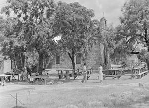 [Photograph of a picnic area under some trees]