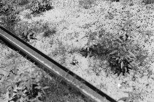 [Photograph of a portion of a railroad track]