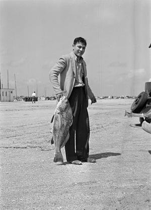[Photograph of a man holding up a large fish, 2]
