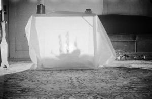 [Photograph of a box covered in cloth, 2]