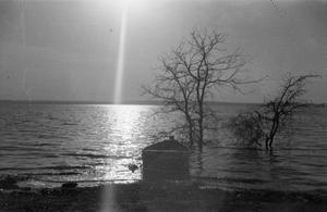 Primary view of object titled '[Photograph of a small boat near the water's shore]'.