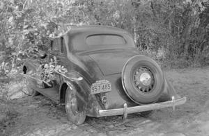 [Photograph of an automobile in a wooded area]