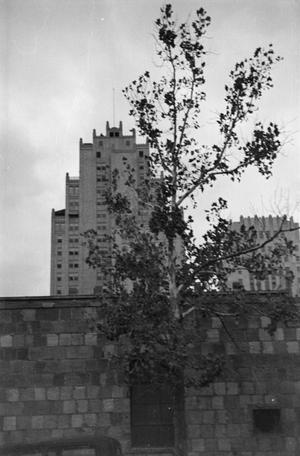 [Photograph of a tall building behind a stone wall, 2]