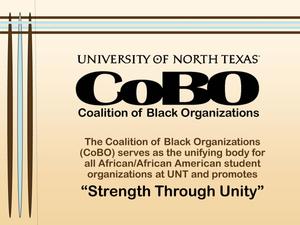 [Coalition of Black Organizations 2006-2007 slideshow]