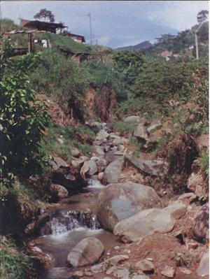 [Stream behind Residential area]