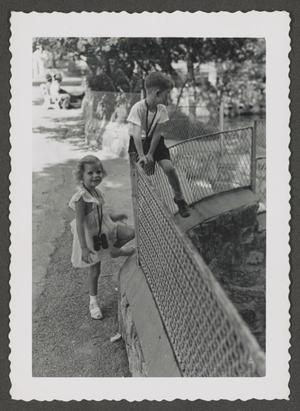 [Photograph of Carol and Tim Williams climbing a fence]