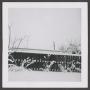 Photograph: [Photograph of a snow covered yard]