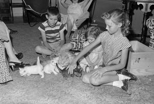 [Tim, Pam and Carol playing with kittens, 2]