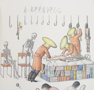 [Illustrations in Codex Seraphinianus]