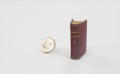 Primary view of [The Smallest English Dictionary next to dime]
