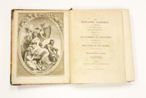 Primary view of object titled '[Title page and illustration in "The Botanic Garden"]'.