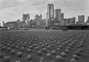 [Pumpkin fields in Dallas]